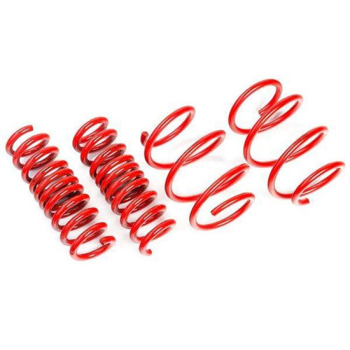 AST 04-11 Mercedes-Benz SLK-Class SLK 280/SLK 350 (W171) Lowering Springs - 30mm