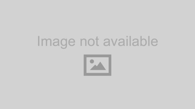 Eibach 00-03 Honda CR125 EMS Rear Spring Kit