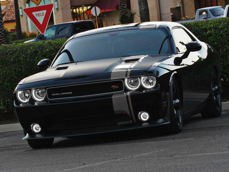 Oracle Dodge Challenger 08-14 LED Waterproof Halo Kit - White